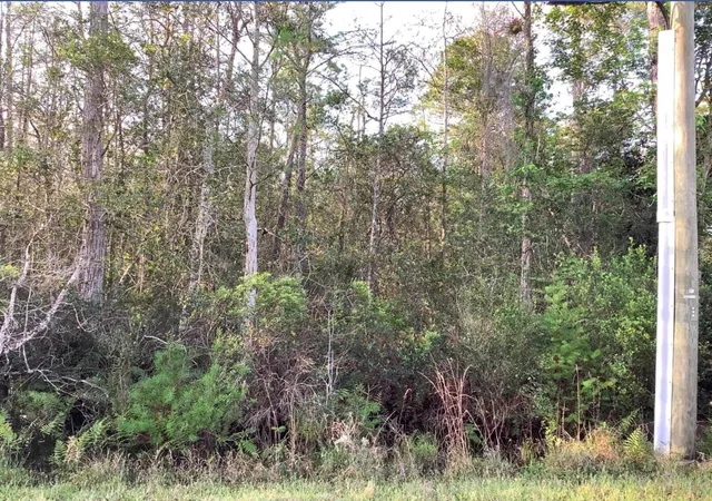 1st image of 20828 Quinlan St, Orlando, FL 32833 | MLS# O6314288