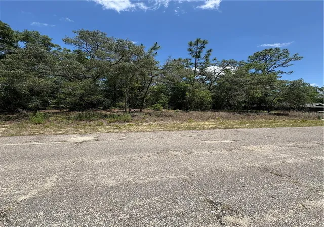 Photo 3 of Land for sale at 10965 N Mataro Ave, Citrus Springs, FL 34434 | MLS# G5097790 | Listing updated on 2026-05-31