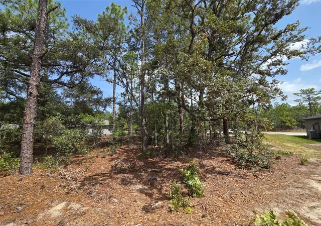 Photo 3 of Land for sale at 1816 W Hampshire Blvd, Citrus Springs, FL 34434 | MLS# TB8392311 | Listing updated on 2026-06-27