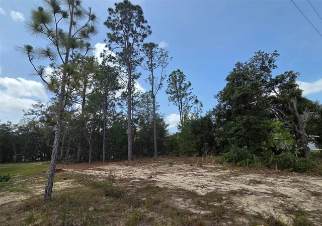 Photo 3 of Land for sale at 1816 W Hampshire Blvd, Citrus Springs, FL 34434 | MLS# TB8392311 | Listing updated on 2026-06-27