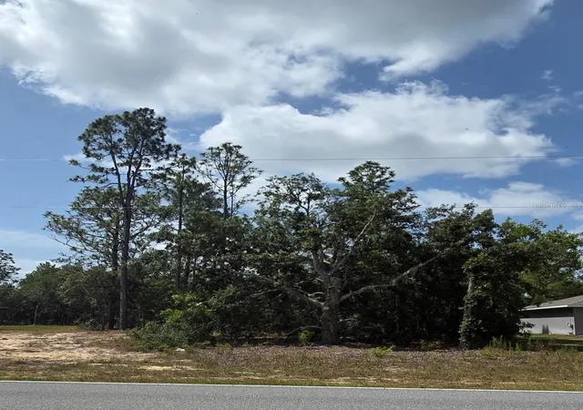 Photo 4 of Land for sale at 1816 W Hampshire Blvd, Citrus Springs, FL 34434 | MLS# TB8392311 | Listing updated on 2026-06-27