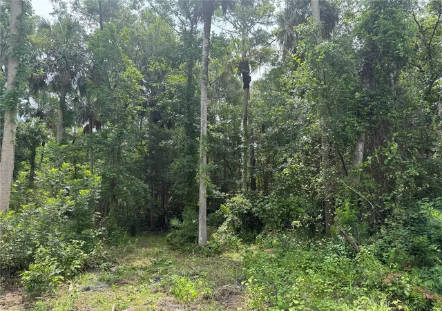 2nd image of Okaloosa Trl, Sorrento, FL 32776 | MLS# O6314611