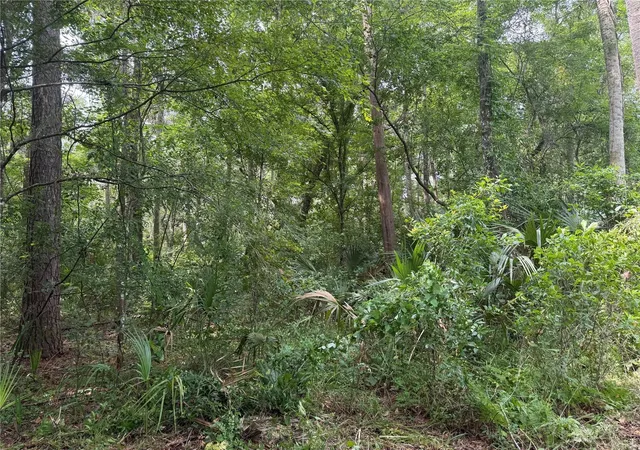 3rd image of Okaloosa Trl, Sorrento, FL 32776 | MLS# O6314611