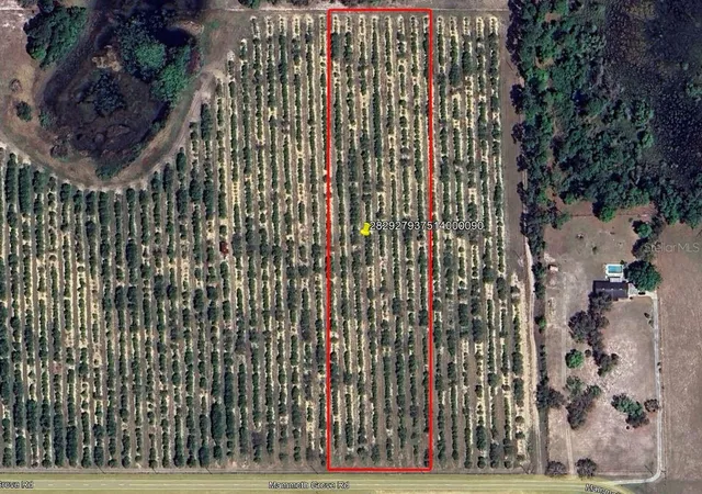 1st image of Mammoth Grove Road, Lake Wales, FL 33898 | MLS# P4935059