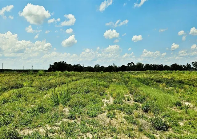 2nd image of Mammoth Grove Road, Lake Wales, FL 33898 | MLS# P4935059