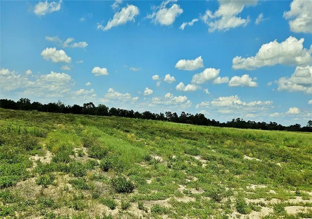 3rd image of Mammoth Grove Road, Lake Wales, FL 33898 | MLS# P4935059