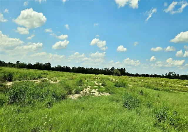 5th image of Mammoth Grove Road, Lake Wales, FL 33898 | MLS# P4935059