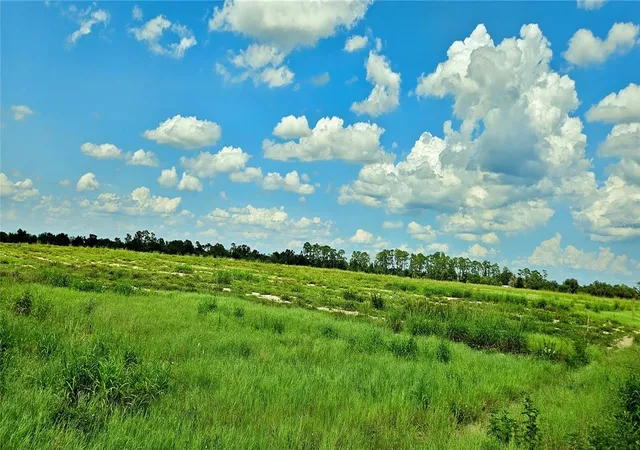 7th image of Mammoth Grove Road, Lake Wales, FL 33898 | MLS# P4935059