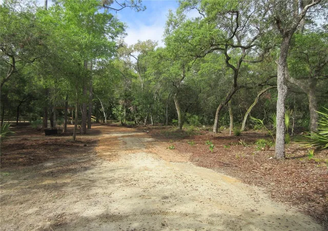 3rd image of 0 Se 10 St, Silver Springs, FL 34488 | MLS# OM702888