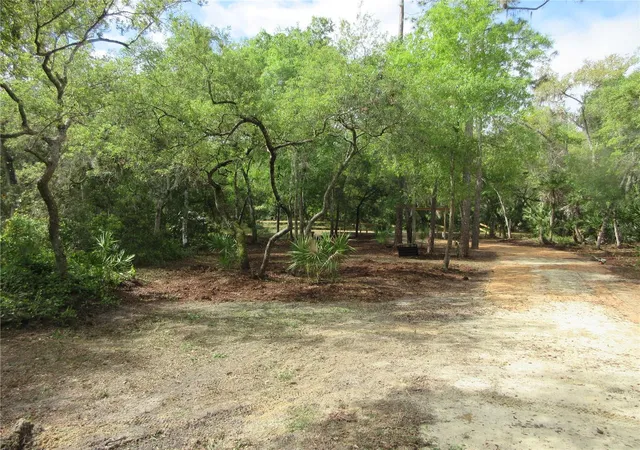 4th image of 0 Se 10 St, Silver Springs, FL 34488 | MLS# OM702888