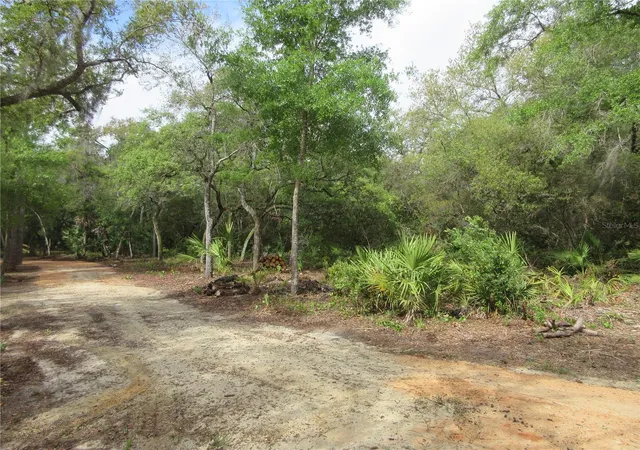 5th image of 0 Se 10 St, Silver Springs, FL 34488 | MLS# OM702888