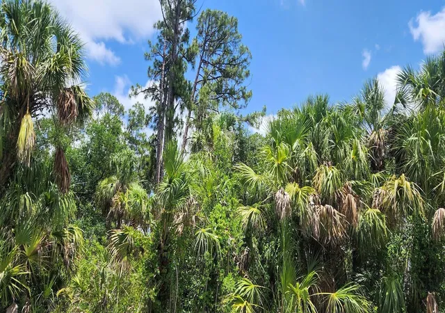 Photo 2 of Land for sale at 436 Hutchins St, Port Charlotte, FL 33953 | MLS# D6142624 | Listing updated on 2026-03-07