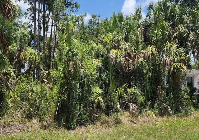 Photo 3 of Land for sale at 436 Hutchins St, Port Charlotte, FL 33953 | MLS# D6142624 | Listing updated on 2026-03-07