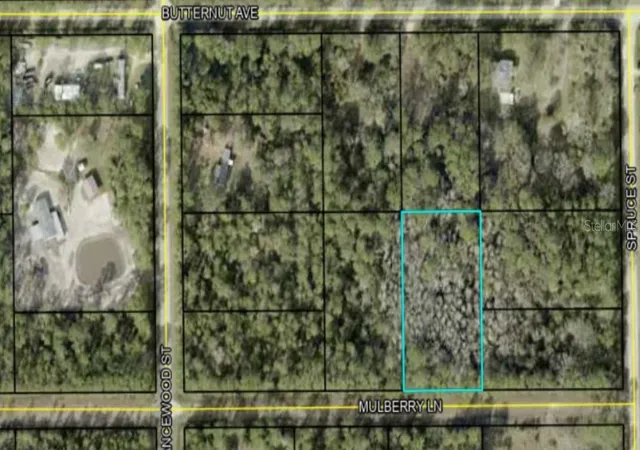 Homes for sale in Bunnell, FL | 5414 Mulberry Ln, Bunnell, FL 32110 | MLS# O6315681