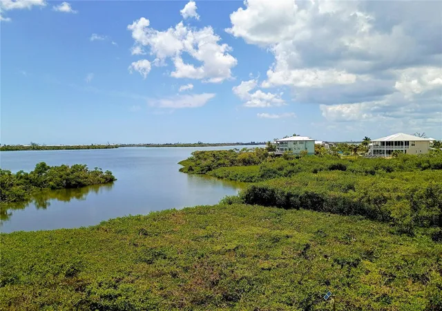 1st image of 10131 Eagle Preserve Dr, Englewood, FL 34224 | MLS# O6316220