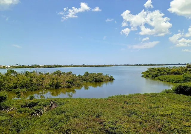 17th image of 10131 Eagle Preserve Dr, Englewood, FL 34224 | MLS# O6316220