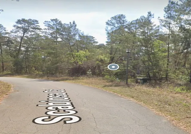 3rd image of 13 Scabiosa Ct, Homosassa, FL 34446 | MLS# W7876245