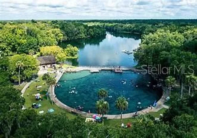 Homes for sale in De Leon Springs, FL | 5155 State Road 11, De Leon Springs, FL 32130 | MLS# V4943162