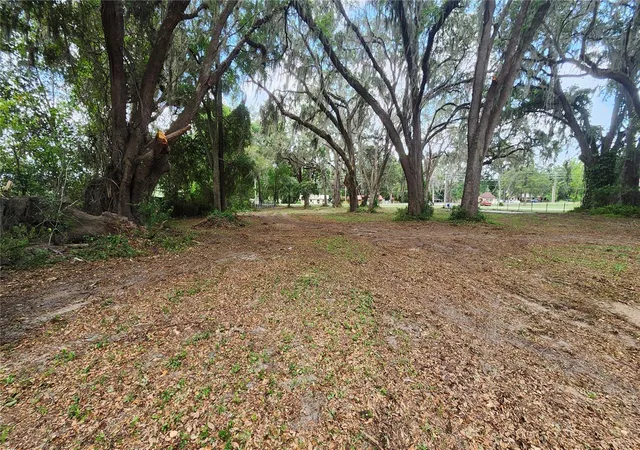 Photo 3 of Land for sale at 7059 SE County Hwy 25a, Belleview, FL 34420 | MLS# G5098063 | Listing updated on 2025-12-22