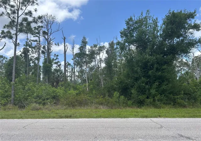 Photo 2 of Land for sale at 14309 Sanilac Ave, Port Charlotte, FL 33981 | MLS# D6142681 | Listing updated on 2026-10-27