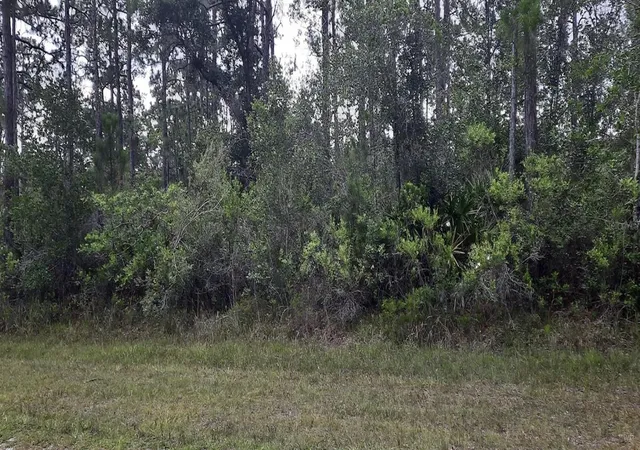 Photo 1 of Land for sale at 421 Azalea Dr, Indian Lake Estates, FL 33855 | MLS# TB8395629 | Listing updated on 2026-08-20