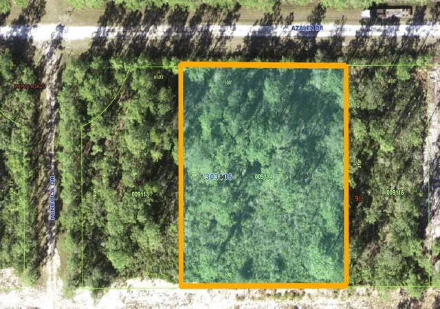 Photo 2 of Land for sale at 421 Azalea Dr, Indian Lake Estates, FL 33855 | MLS# TB8395629 | Listing updated on 2026-08-20