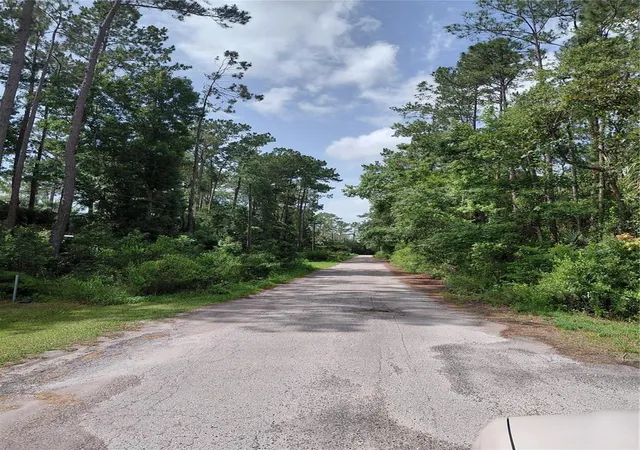 Land for sale at James St, ASTOR, FL 32102 | MLS# O6317706