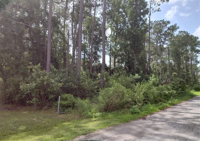 Photo 2 of Land for sale at James St, Astor, FL 32102 | MLS# O6317706 | Listing updated on 2026-08-21