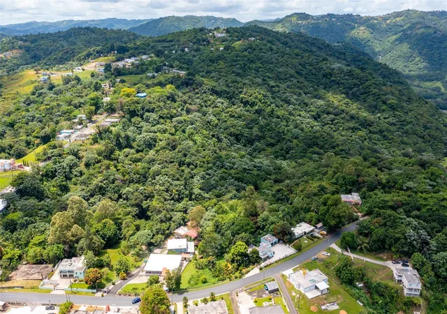 Homes for sale in Morovis, PR | Cuchillas Ward State Road 618 Km 16, Morovis, PR 00687 | MLS# PR9114235