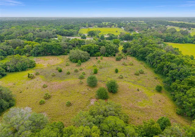 3rd image of Tbd S Hwy 301, Summerfield, FL 34491 | MLS# OM703770
