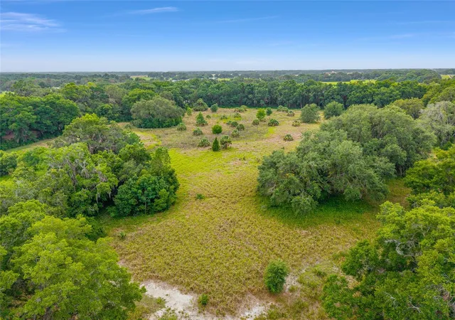 4th image of Tbd S Hwy 301, Summerfield, FL 34491 | MLS# OM703770