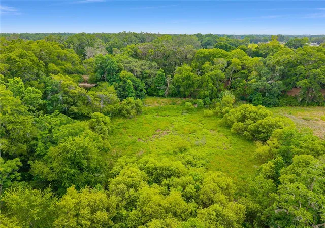 5th image of Tbd S Hwy 301, Summerfield, FL 34491 | MLS# OM703770