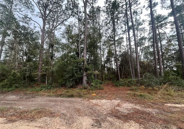 Photo 1 of Land for sale at Susan St, Interlachen, FL 32148 | MLS# OK225295 | Listing updated on 2026-07-13