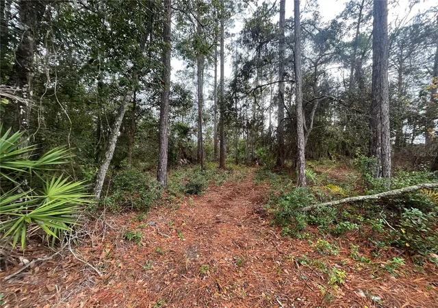 Photo 3 of Land for sale at Susan St, Interlachen, FL 32148 | MLS# OK225295 | Listing updated on 2026-07-13