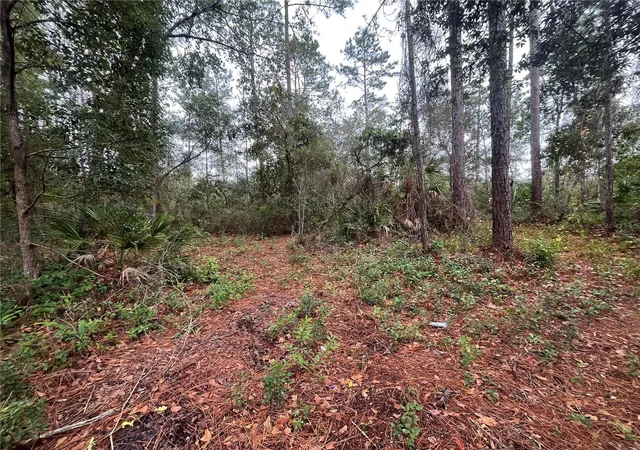 Photo 3 of Land for sale at Susan St, Interlachen, FL 32148 | MLS# OK225295 | Listing updated on 2026-07-13