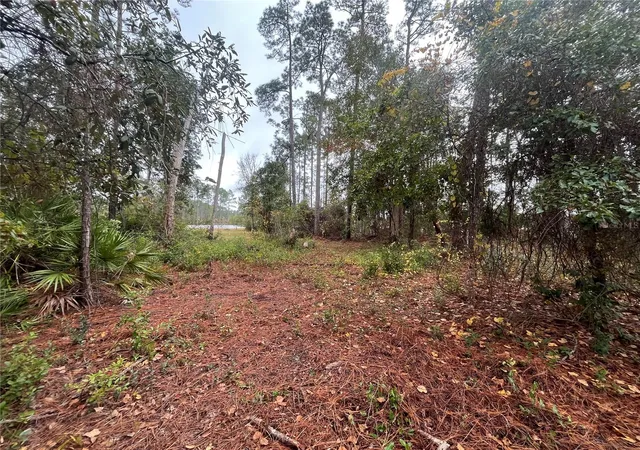 Photo 4 of Land for sale at Susan St, Interlachen, FL 32148 | MLS# OK225295 | Listing updated on 2026-07-13