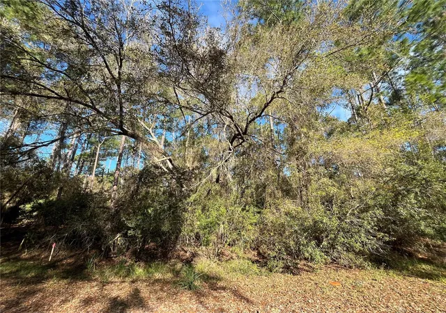 Homes for sale in Georgetown, FL | 104 Se 5th St, Georgetown, FL 32139 | MLS# OK225299