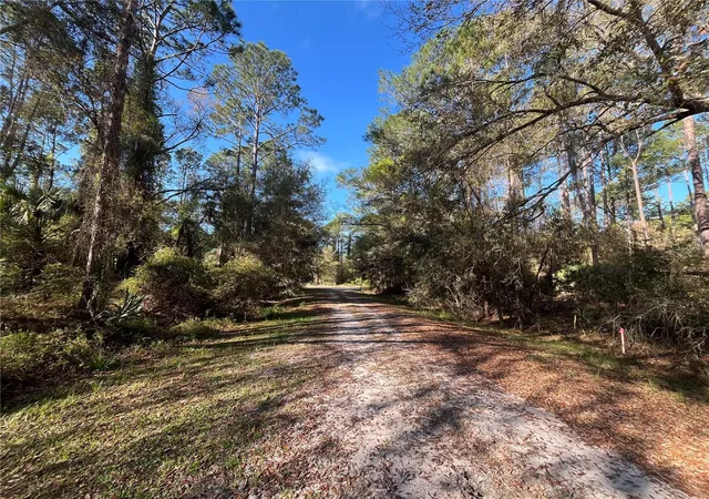 Homes for sale in Georgetown, FL | 104 Se 5th St, Georgetown, FL 32139 | MLS# OK225299