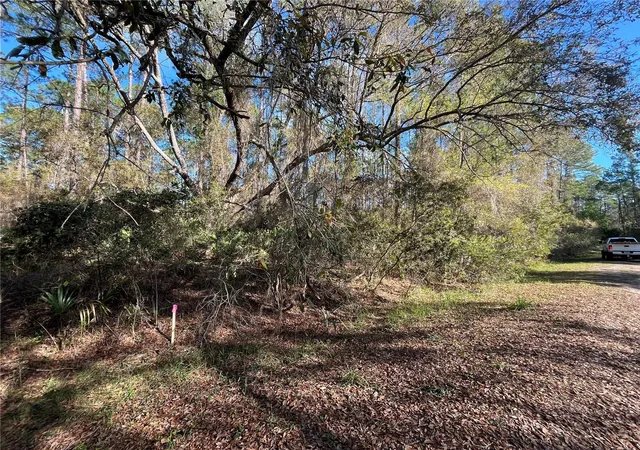 Homes for sale in Georgetown, FL | 104 Se 5Th St, Georgetown, FL 32139 | MLS# OK225299