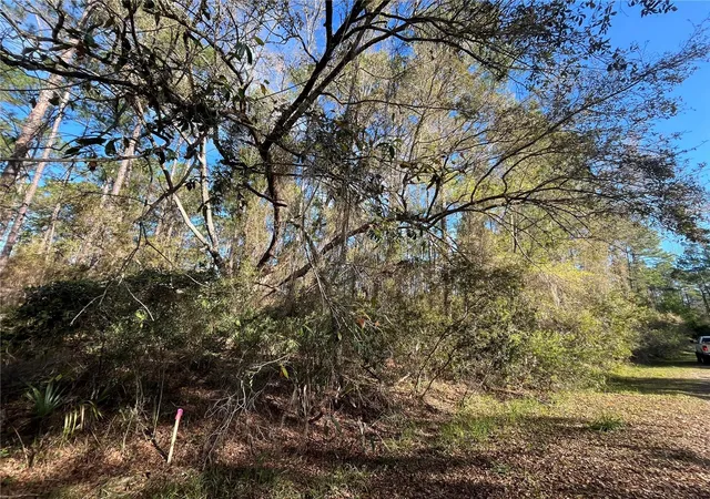 Homes for sale in Georgetown, FL | 104 Se 5Th St, Georgetown, FL 32139 | MLS# OK225299