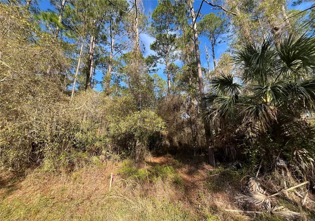 Homes for sale in Georgetown, FL | 104 Se 5Th St, Georgetown, FL 32139 | MLS# OK225299