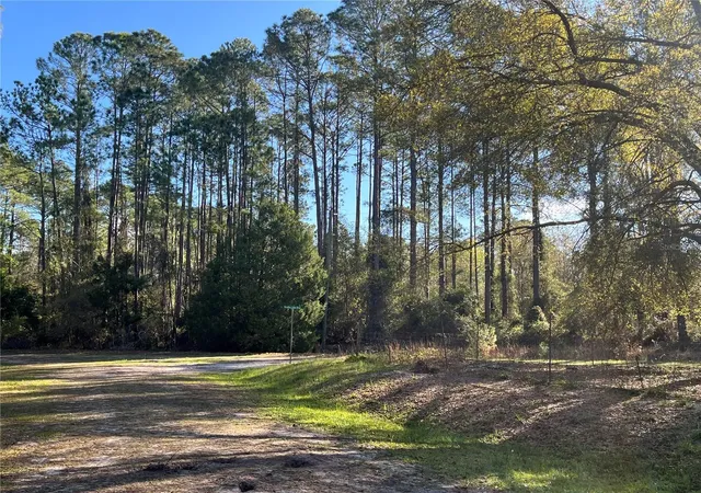 Homes for sale in Georgetown, FL | 104 Se 5th St, Georgetown, FL 32139 | MLS# OK225299