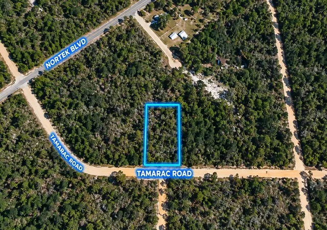 Land for sale at Tamarac Rd, MARIANNA, FL 32448 | MLS# OK225303