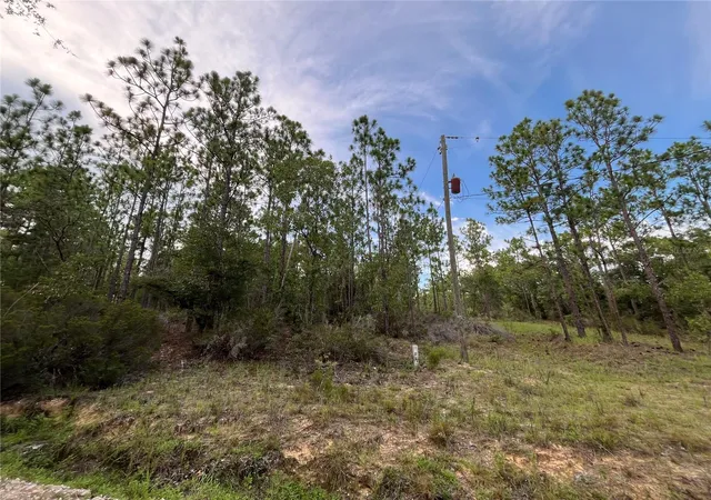 Photo 1 of Land for sale at 124 New York Ave, Interlachen, FL 32148 | MLS# OK225314 | Listing updated on 2026-06-04