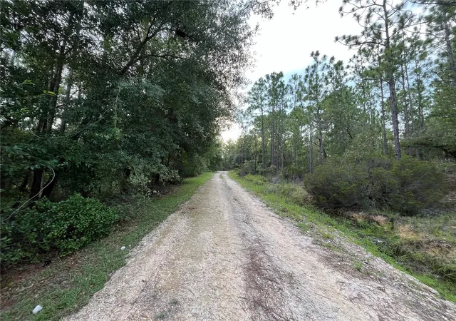Photo 2 of Land for sale at 124 New York Ave, Interlachen, FL 32148 | MLS# OK225314 | Listing updated on 2026-06-04