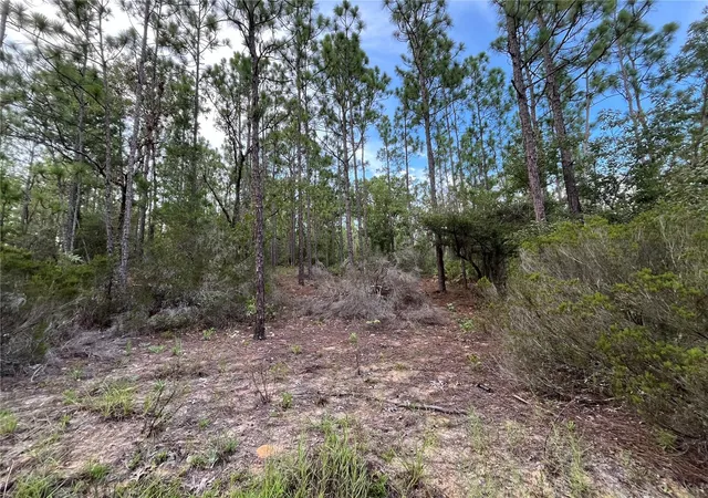Photo 3 of Land for sale at 124 New York Ave, Interlachen, FL 32148 | MLS# OK225314 | Listing updated on 2026-06-04