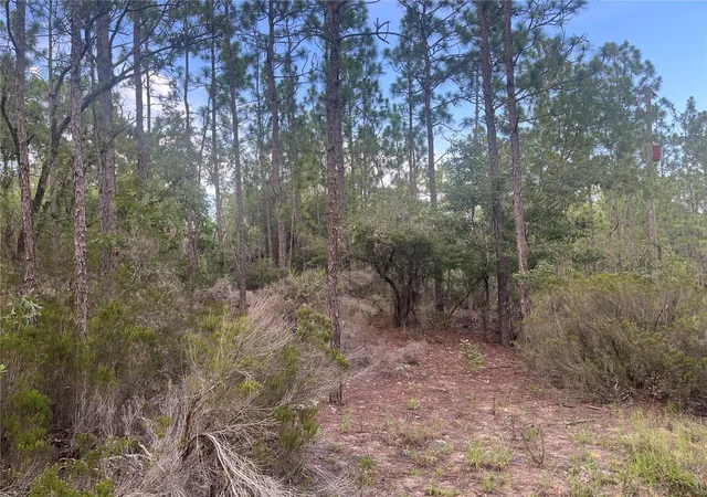 Photo 3 of Land for sale at 124 New York Ave, Interlachen, FL 32148 | MLS# OK225314 | Listing updated on 2026-06-04
