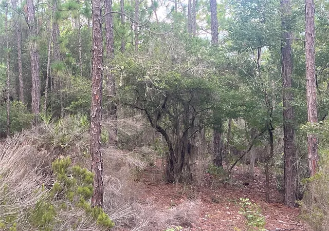Photo 4 of Land for sale at 124 New York Ave, Interlachen, FL 32148 | MLS# OK225314 | Listing updated on 2026-06-04