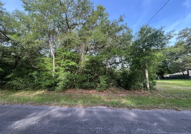 Photo 2 of Land for sale at 6634 N Pagoda Tree Ter, Hernando, FL 34442 | MLS# OK225315 | Listing updated on 2026-06-05