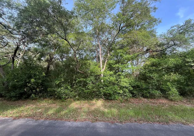 Photo 1 of Land for sale at 6634 N Pagoda Tree Ter, Hernando, FL 34442 | MLS# OK225315 | Listing updated on 2026-06-05